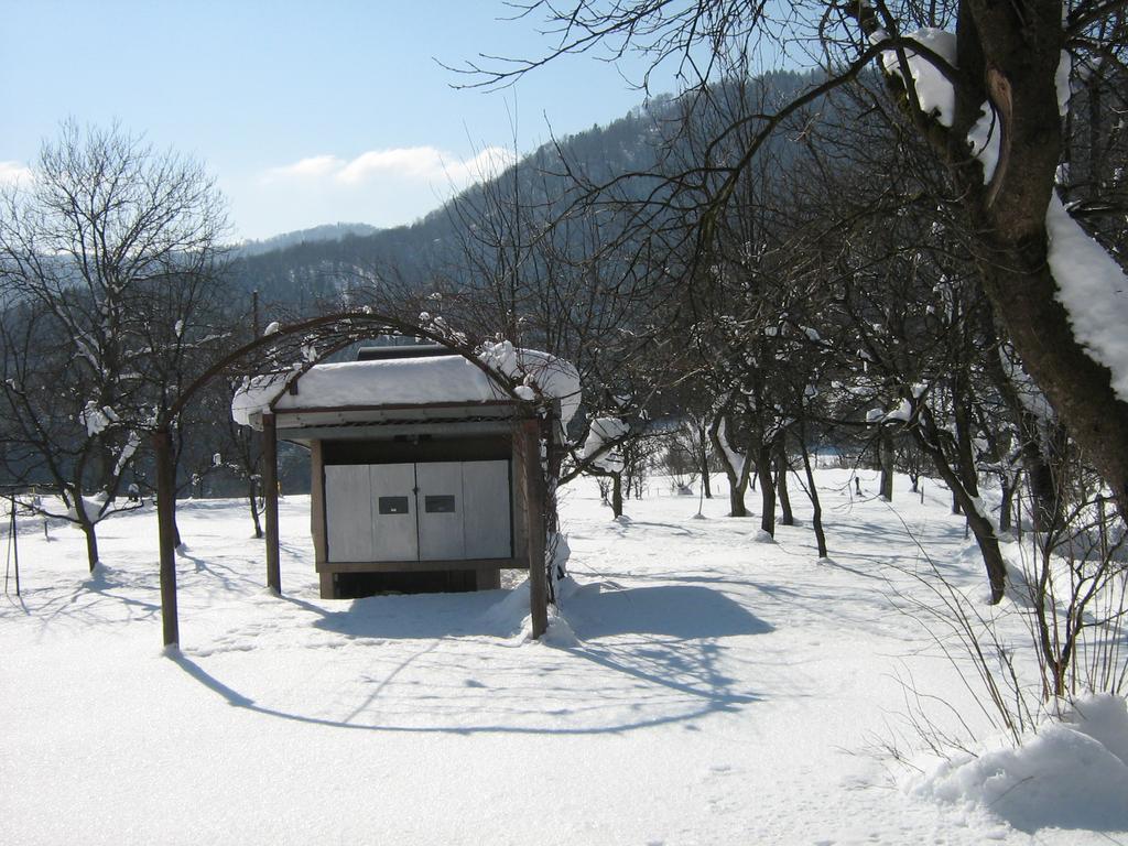 Apartman Gomirje Vrbovsko Exterior photo